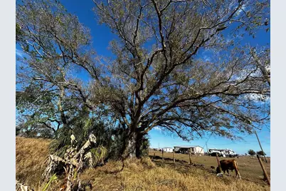 15080 NW 12th Terrace, Okeechobee, FL 34972 - Photo 35
