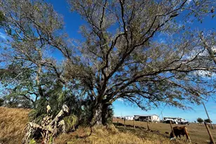 15080 NW 12th Terrace, Okeechobee, FL 34972 - Photo 35