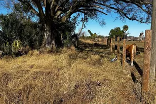 15080 NW 12th Terrace, Okeechobee, FL 34972 - Photo 19