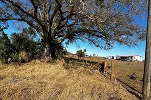 15080 NW 12th Terrace, Okeechobee, FL 34972 - Photo 37