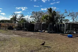 15080 NW 12th Terrace, Okeechobee, FL 34972 - Photo 27