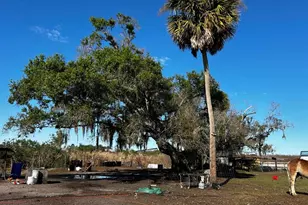 15080 NW 12th Terrace, Okeechobee, FL 34972 - Photo 15