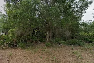 23469 Winthrob Ave, Punta Gorda, FL 33980 - Photo 1