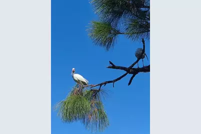 387 Viceroy Terrace, Port Charlotte, FL 33954 - Photo 43