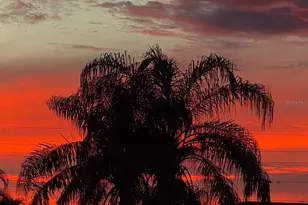 387 Viceroy Terrace, Port Charlotte, FL 33954 - Photo 41