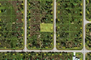 2167 Lingayen St, Port Charlotte, FL 33953 - Photo 1