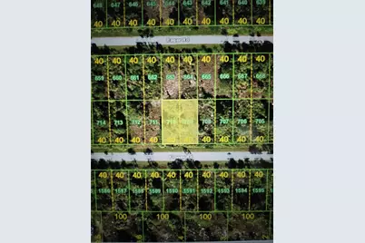 26320 Flower Road, Punta Gorda, FL 33955 - Photo 1