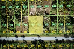 26320 Flower Rd, Punta Gorda, FL 33955 - Photo 1