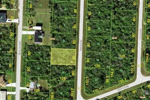 359 Findlay St, Port Charlotte, FL 33954 - Photo 1