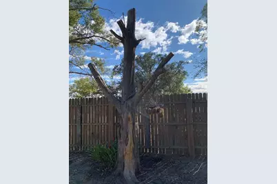 5933 NE County Road 660, Arcadia, FL 34266 - Photo 37