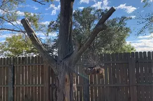 5933 NE County Road 660, Arcadia, FL 34266 - Photo 37