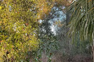 2431 Waller Rd, North Port, FL 34288 - Photo 69