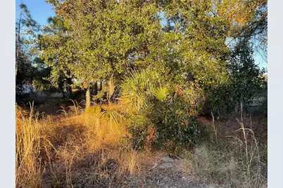 2431 Waller Road, North Port, FL 34288 - Photo 67