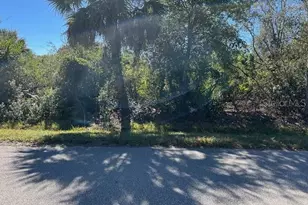 26455 & 26459 Deer Rd, Punta Gorda, FL 33955 - Photo 1