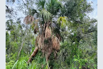 26145 Flower Road, Punta Gorda, FL 33955 - Photo 5