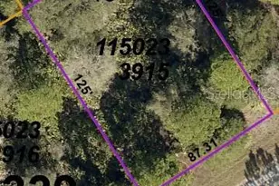 Lot 15 Peachtree Ln, North Port, FL 34288 - Photo 1