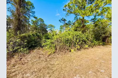 2007 Truman Avenue, Alva, FL 33920 - Photo 1