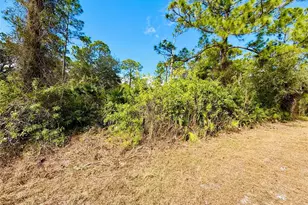 2007 Truman Ave, Alva, FL 33920 - Photo 1