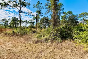 2007 Truman Ave, Alva, FL 33920 - Photo 5