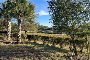 1712 Hyssop Loop, North Port, FL 34289 - Photo 45