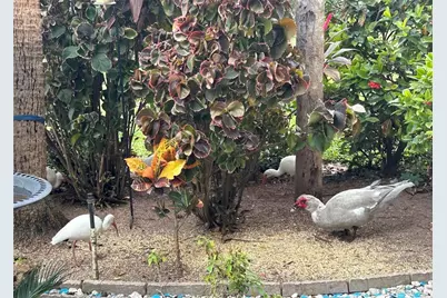 1515 Forrest Nelson Boulevard #A101, Port Charlotte, FL 33952 - Photo 29