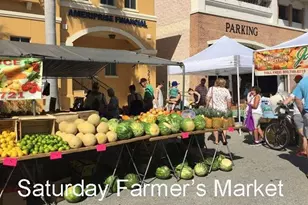 2301 Via Veneto Dr, Punta Gorda, FL 33950 - Photo 67