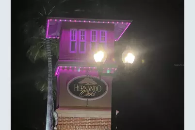 4380 Caliquen Drive, Brooksville, FL 34604 - Photo 21