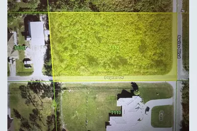 29120 Poplar Drive, Punta Gorda, FL 33982 - Photo 1