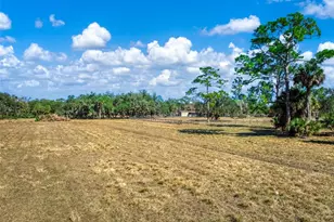 15405 Old Parker Island Rd, Lake Placid, FL 33852 - Photo 23