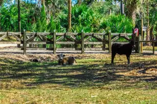 15405 Old Parker Island Rd, Lake Placid, FL 33852 - Photo 25