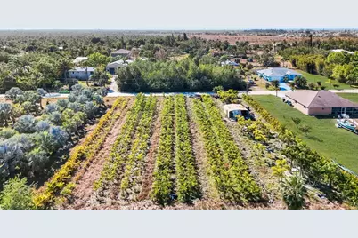 4442 Courtney Road, Saint James City, FL 33956 - Photo 7