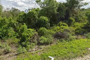 425 Fawnwood Ave, Lake Placid, FL 33852 - Photo 3