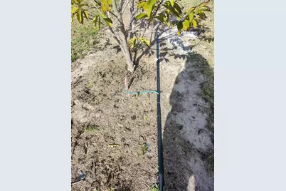 [Address not provided], Arcadia, FL 34266 - Photo 15