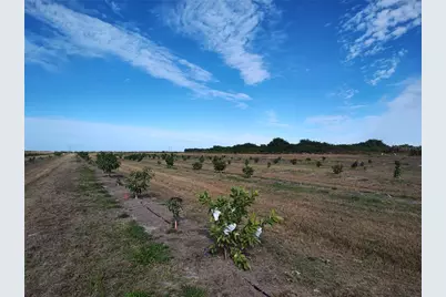 [Address not provided], Arcadia, FL 34266 - Photo 25