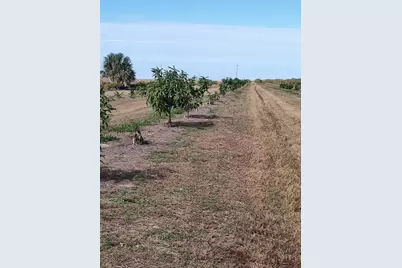 [Address not provided], Arcadia, FL 34266 - Photo 23