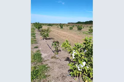 [Address not provided], Arcadia, FL 34266 - Photo 21