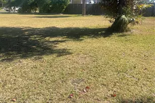 229 Darst Ave, Punta Gorda, FL 33950 - Photo 27