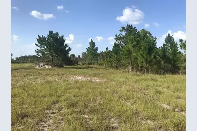 48033 Bermont Road, Punta Gorda, FL 33982 - Photo 15