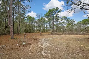 12672 S Oakview Ave, Floral City, FL 34436 - Photo 43