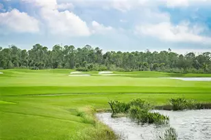 14167 Poppy Field Loop, Punta Gorda, FL 33955 - Photo 49