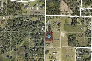 26714 Bloomfield Ave, Yalaha, FL 34797 - Photo 1