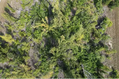 10565 Abello Road, Port Charlotte, FL 33981 - Photo 9