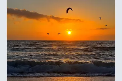 720 Butterfield Circle, Englewood, FL 34223 - Photo 61