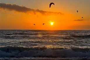 720 Butterfield Cir, Englewood, FL 34223 - Photo 61