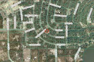 Fisher Course, Ocklawaha, FL 32183 - Photo 1