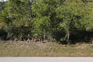 12421 Minnesota Ave, Punta Gorda, FL 33955 - Photo 1