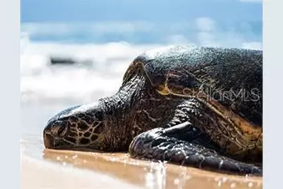 7454 Palm Island Drive #3311, Placida, FL 33946 - Photo 63