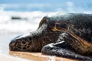 7454 Palm Island Dr, Placida, FL 33946 - Photo 63