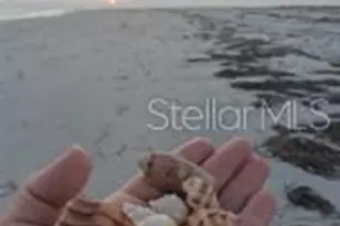 7454 Palm Island Dr, Placida, FL 33946 - Photo 67