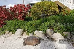 7454 Palm Island Dr, Placida, FL 33946 - Photo 61